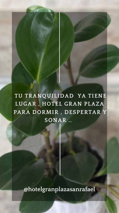 Hotel Gran Plaza San Rafael San Rafael  Εξωτερικό φωτογραφία